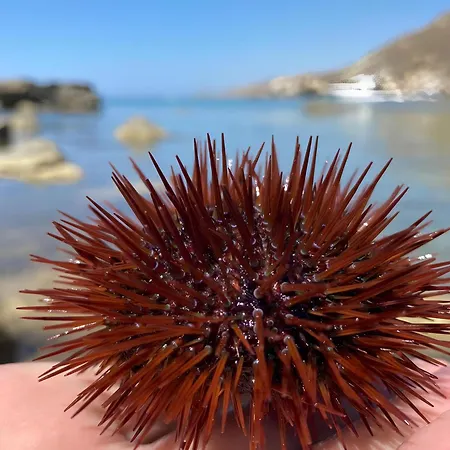 Turistico L'ulivo Marina di Palma